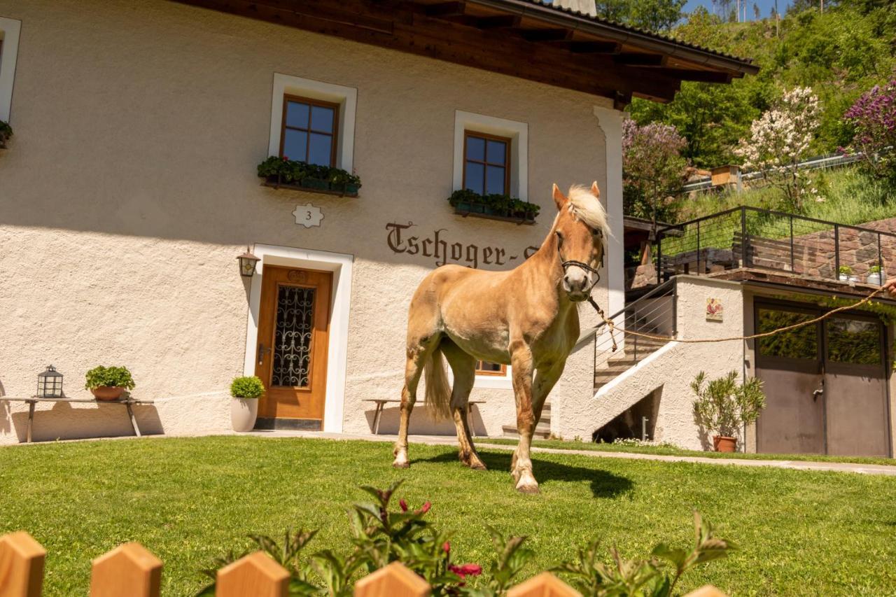 Chalet Tschogerhof Tiers Am Rosengarten Dolomiten Esterno foto