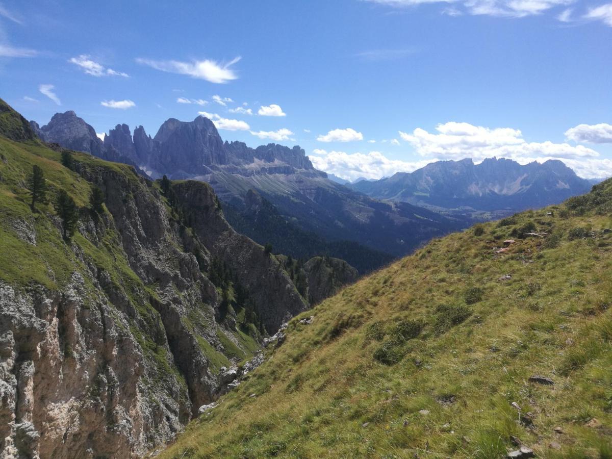 Chalet Tschogerhof Tiers Am Rosengarten Dolomiten Esterno foto