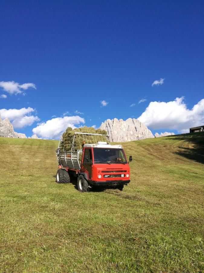 Chalet Tschogerhof Tiers Am Rosengarten Dolomiten Esterno foto