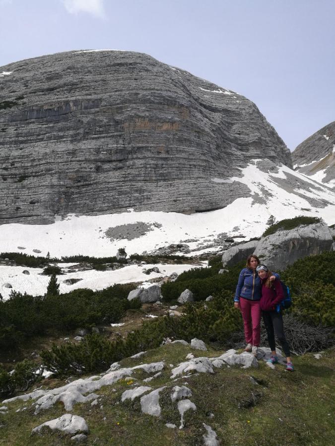 Chalet Tschogerhof Tiers Am Rosengarten Dolomiten Esterno foto